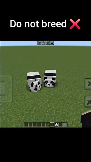 Minecraft Panda Logic 🤯