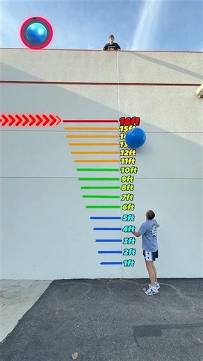 Which Ball Bounces The Highest!?