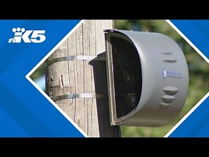 City of Milton installs traffic enforcement cameras