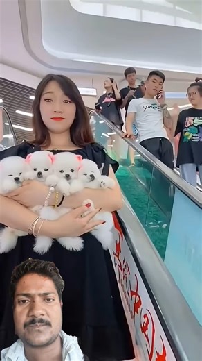 my Pets One🥰Big Hug dog videos cartoon #funny bhoot wala #shortsfeed #viralshort #youtube baby video