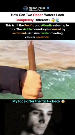 Why Do These Ocean Waters Look Completely Different? 🌊🤯 #ocean #youtubeshorts #viralvideo #viral