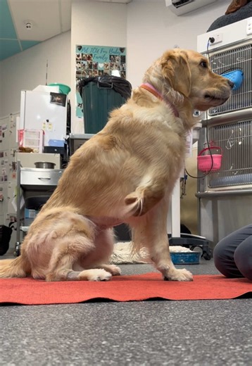 Munt Munt prosthetic leg tweaks for easier movement