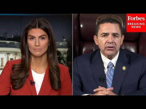 FULL INTERVIEW: Henry Cuellar Asked About Trump Pardon, Possible Party Switch, & 'DOJ Weaponization'
