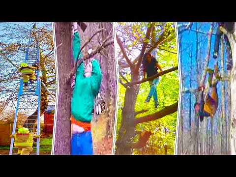 Funniest Tree Climbing Fails