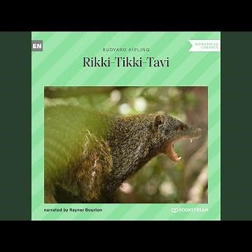 Chapter 14 - Rikki-Tikki-Tavi