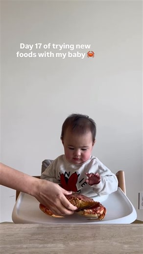 Trying new food | Baby foodie | First time mom on Instagram: "Day 17 of starting solid foods with my baby: crab 🦀 (boiled until soft, no seasoning) didn’t love it the first go, offered it again for her next meal and she liked it! #crab #crabs #crablegs #crabmeat #blwinspiration"