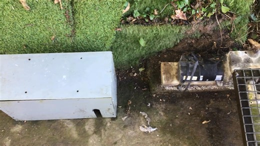 36K views · 781 reactions | Black Dog on our launcher. The launcher’s now in its 6th year built by one of our members, it is based on a wheelchair motor and a pair of micro switches that control the distance it travels. It also can be operated manually. | Jersey Model Tug Association | Facebook