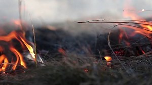 Sentenced to be boiled alive with flaming coals in public - brutal reality of medieval punishment