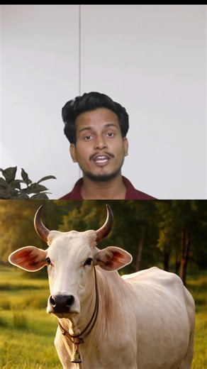 Anurag Thakur’s LV Belt: Gau-Bhakti ya Hypocrisy? 🐄🔥