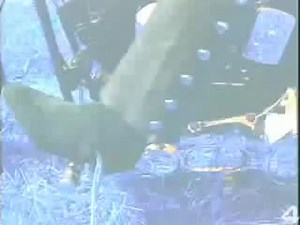 мановар пробил час