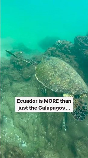 The PERFECT Ecuador itinerary 👇️⁠ ⁠ (SAVE) this guide for your next South America trip!⁠ ⁠ I spent