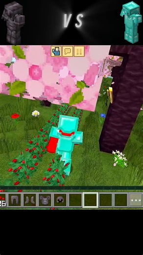 diamond armour vs neither armour #minecraft