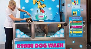 DIY Coin-Operated Dog Wash Stations Make Their Debut in the U.S.
