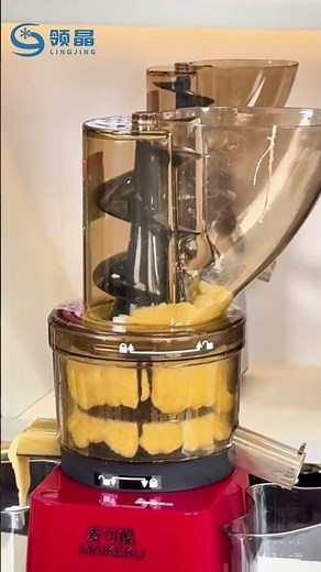 Commercial slow juicer