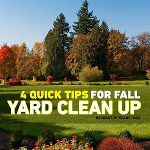 138 reactions · 51 shares | Lawn clean-up made quick and easy with a Toro Blower Vac! Get your 3-in-1 blower, high-speed vacuum, and leaf shredder today to keep your lawn looking great all year! | Toro Yard | Facebook