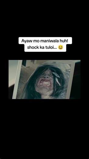 Discover the Magic of Dollhouse Creations