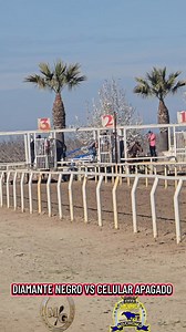 DIAMANTE NEGRO VS CELULAR APAGADO #seguidores | Ricardo Ramirez