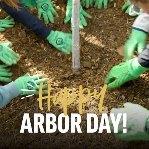 13K views · 256 reactions | It’s finally here —the day to say Yes to trees! We’re celebrating the many Yeses from partners, members, and supporters like you who helped us plant hundreds of millions of trees, and the many more Yeses it will take to plant even more. Happy #ArborDay everyone  | Arbor Day Foundation | Facebook
