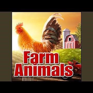 Barn, Animals - Exterior: Sheep, Horses, Cows, Chickens, Pig, General Ambience Farm, Rural &...