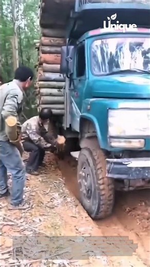 Truck stuck in mud: using logs for traction