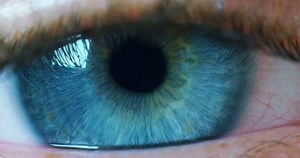 Perfect Blue Eye Macro Sterile Environment Stock Footage Video (100% Royalty-free) 20559922 | Shutterstock