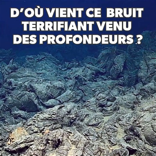 🌊 Dans les profondeurs de l’océan, certaines créatures semblent ressembler à des extra-terrestres. Un son étrange venu des abysses a été capté, semblant indiquer que l’animal en question est immense… Que se cache-t-il dans les fonds marins ? ▶️ Strange Evidence, à voir en streaming sur RMC BFM Play ➡️ https://bit.ly/462qXJW | RMC BFM PLAY