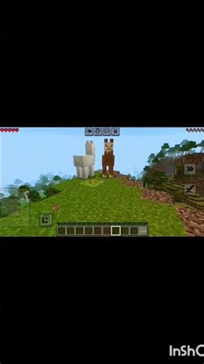 solving the minecraft hardest seed in minecraft survival #anshubisht #ytshorts #dream #mebeast