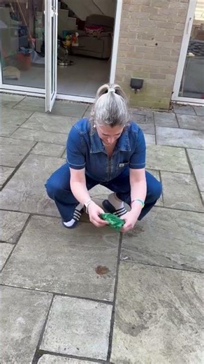 Dog Poo Prank