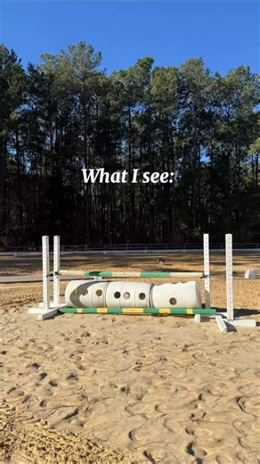 Halloween may be seasonal for us, but it’s all year long for our horses! 😩👻🎃 #Halloween #horses #equestrianproblems #spookyszn #horseriding #equestrian #correctconnect #horsetraining | Correct Connect