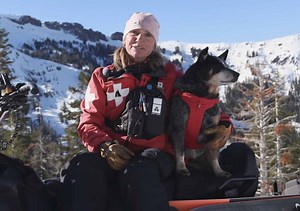 This Heeler Has Been Working For 11 Winters As An Avalanche Dog