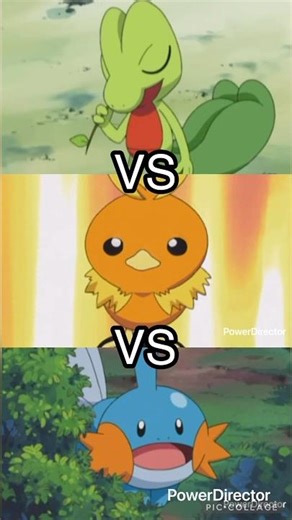 #Treecko vs #torchic vs #mudkip #pokemon #vs #edit