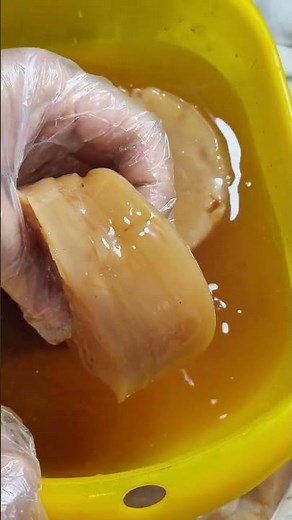 Nuôi scoby làm trà Kombucha tại nhà #hungbabyngo