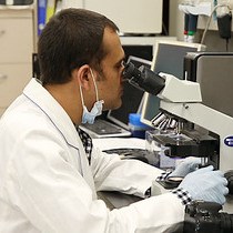 Video: Determination of Protein Expression Level in Cultured Cells by Immunocytochemistry on Paraffin-embedded Cell Blocks