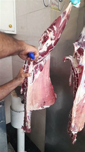How a Professional Butcher Cuts Lamb Ribs & Leg 🔪 | Part 2 | #Shorts