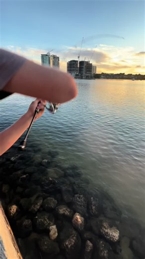 Taylor Fishing in Perth on Swan River | Daiwa Australia