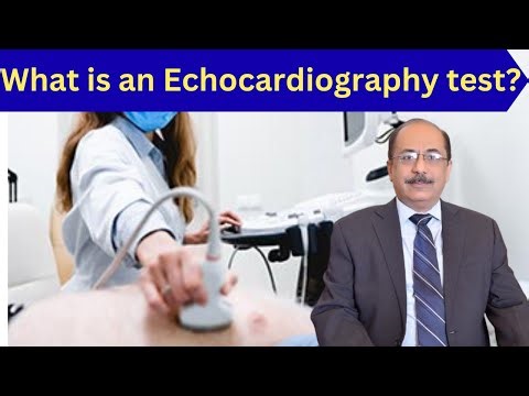 How Does an Echocardiography test Check Your Heart Health?