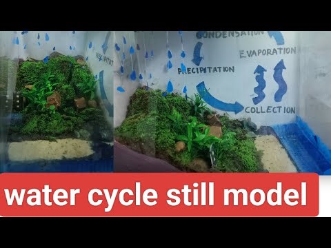 Aquarium tank ഇൽ വ്യത്യസ്തമായൊരു water cycle still model ഉണ്ടാക്കി