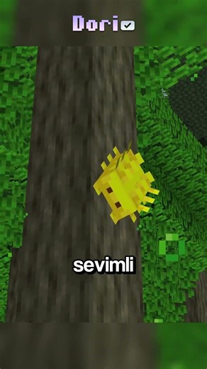 TAM 2000 BLOK aşağıdayım ve bu hiç iyi değil.