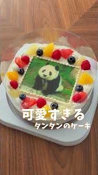 今年のクリスマスは写真ケーキ🐼 スマホから簡単注文写真ケーキ「Shappie🎄」 タンタンのケーキ✨ クーポンコード【 TR11DR 】で2025年11月30日まで10％OFFでオーダーできます🐼