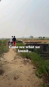 13K views · 54 reactions | Today  I think the frog has passed away but I’m hoping he was pretending to play dead.  Wow what a beautiful snake, first one I have seen in full show in India in the eight years I have been in and out here !  | Rachel Hunter | Facebook