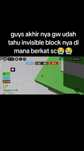 Misteri Invisible Block Terungkap di Roblox