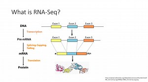 How to analyze RNA-Seq data Find differentially expressed genes in your researc