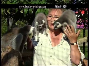 'Fierce Creatures' and John Cleese, 1990's - Film 91829