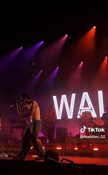 are you bored yet? -nashville, tn 🪩 @wallowsmusic @Wallows Info #wallows #fyp #areyouboredyet #modeltour #wallowsconcert #wallowslive #dylanminnette #braedenlemasters #colepreston #wallowsedit #wallowsmusic #wallowstour