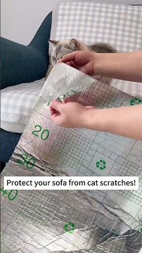 How to Protect Your Couch from Cat Scratches (No More Damage!)