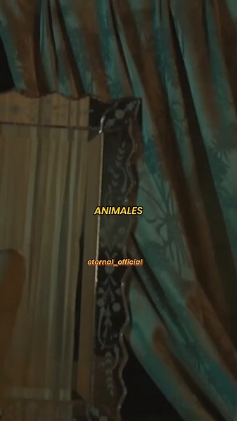 Traducción de 'Animals' de Maroon 5 al Español