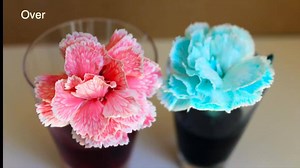 26K views · 259 reactions | Easy, colourful science!  >>>...