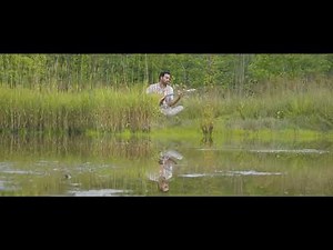 Solo Baglama Live Performance