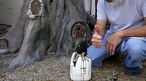 57K views · 1.8K reactions | I DID IT!!!  #hydroponics #diy #gardening #offgrid | Keep on Growin' | Facebook