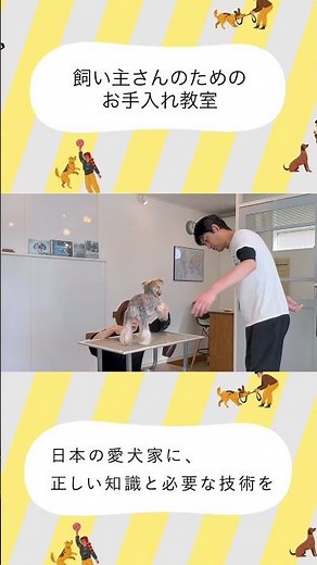 【飼い主さんのためのお手入れ教室】忙しい人ほど愛犬のお手入れが癒しになる理由